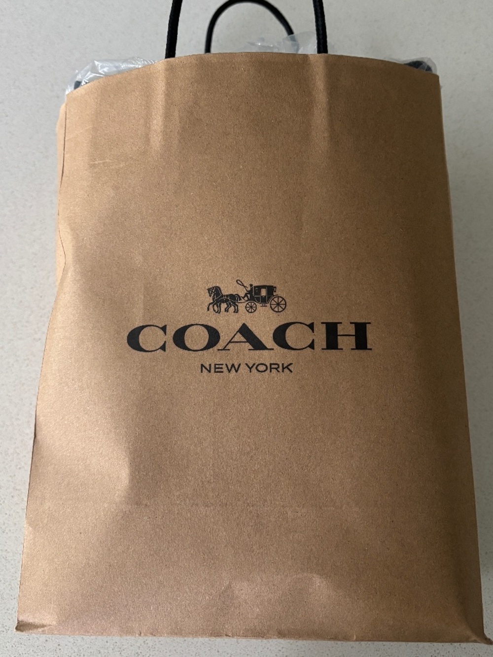 COACH Cargo Small Canvas Tote Bag 26 - Picture 3 of 7